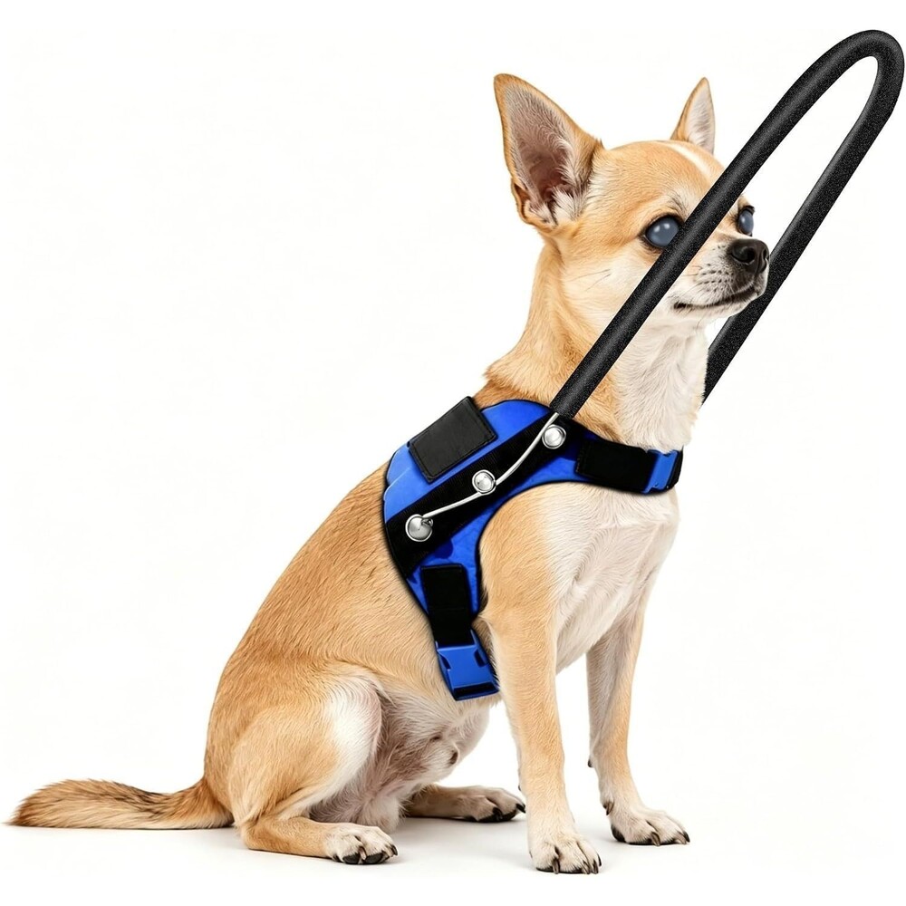 LetPetRun Protective Halo Harness for Blind Dogs - Size XS